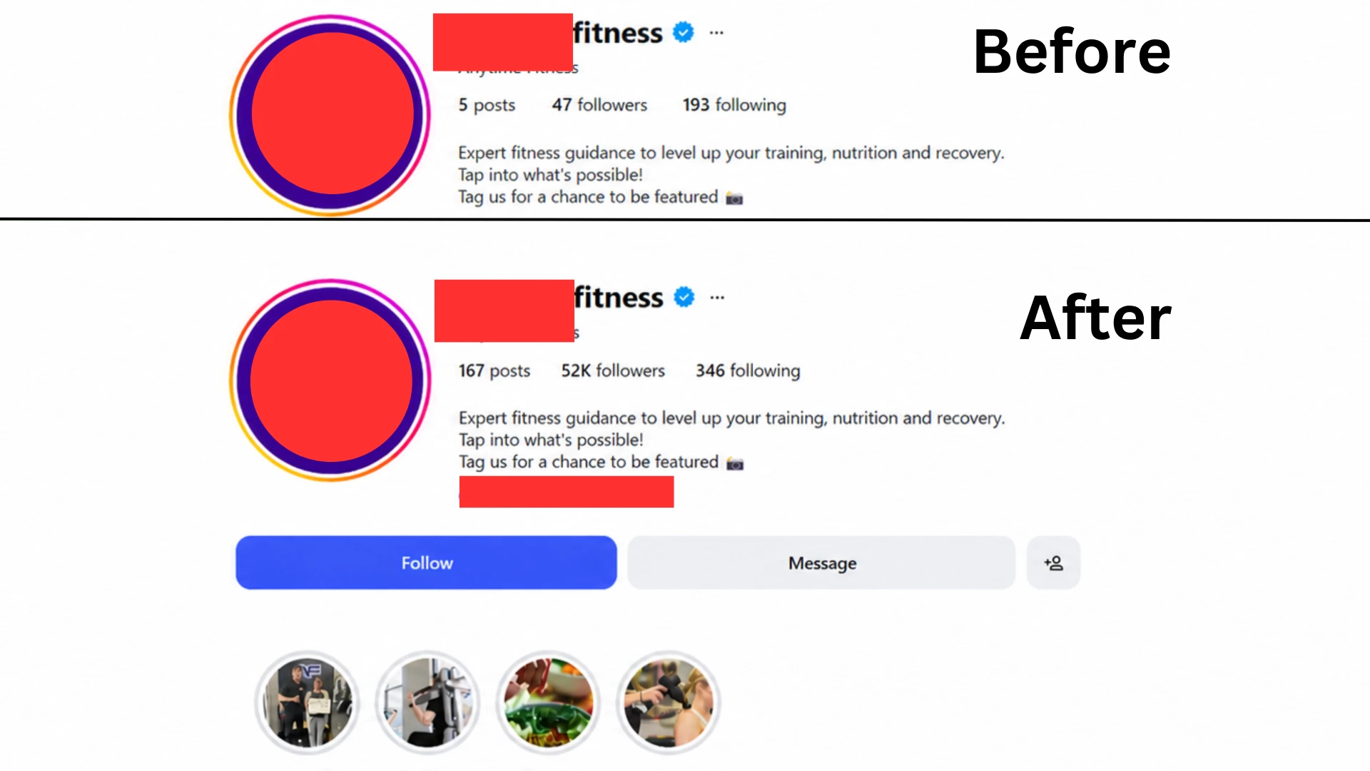 Audience Growth Report — Instagram · Audience Growth campaign screenshot