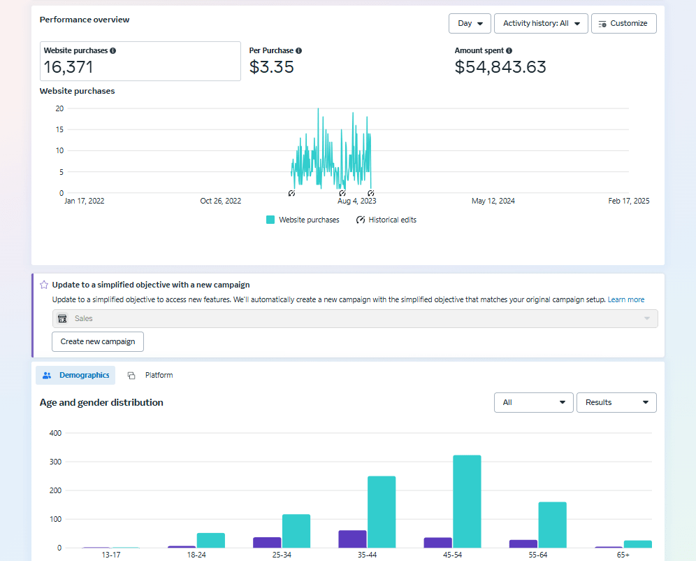 eCommerce Purchase Campaign — Meta Ads · Sales campaign screenshot
