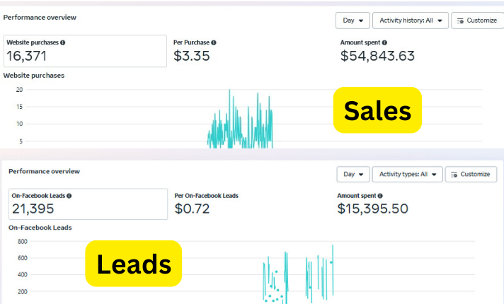 Sales + Leads Overview — Meta Ads · Sales & Leads campaign screenshot