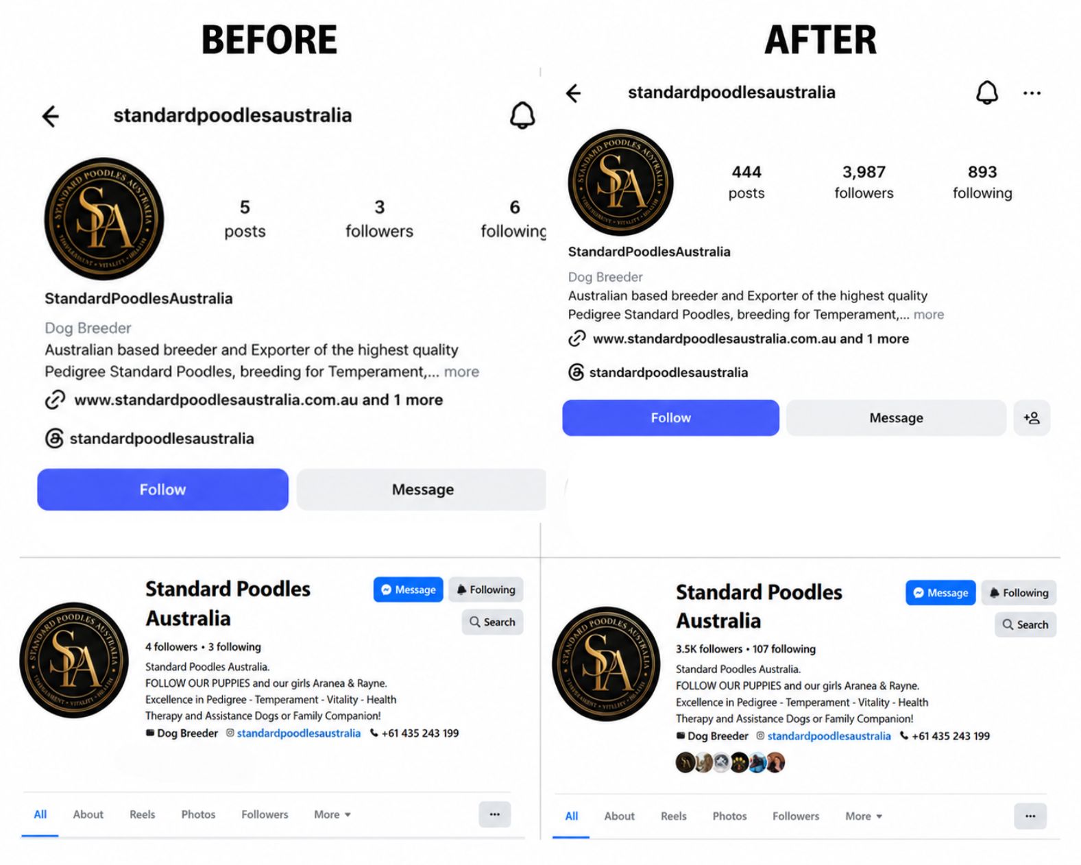 Profile Optimization — Instagram & Facebook — Instagram · Facebook · Audience Growth campaign screenshot