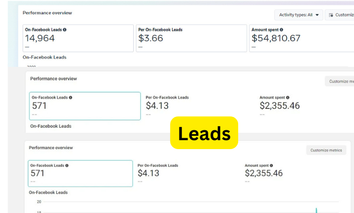 Instagram & Facebook Leads — Meta Ads · Leads campaign screenshot