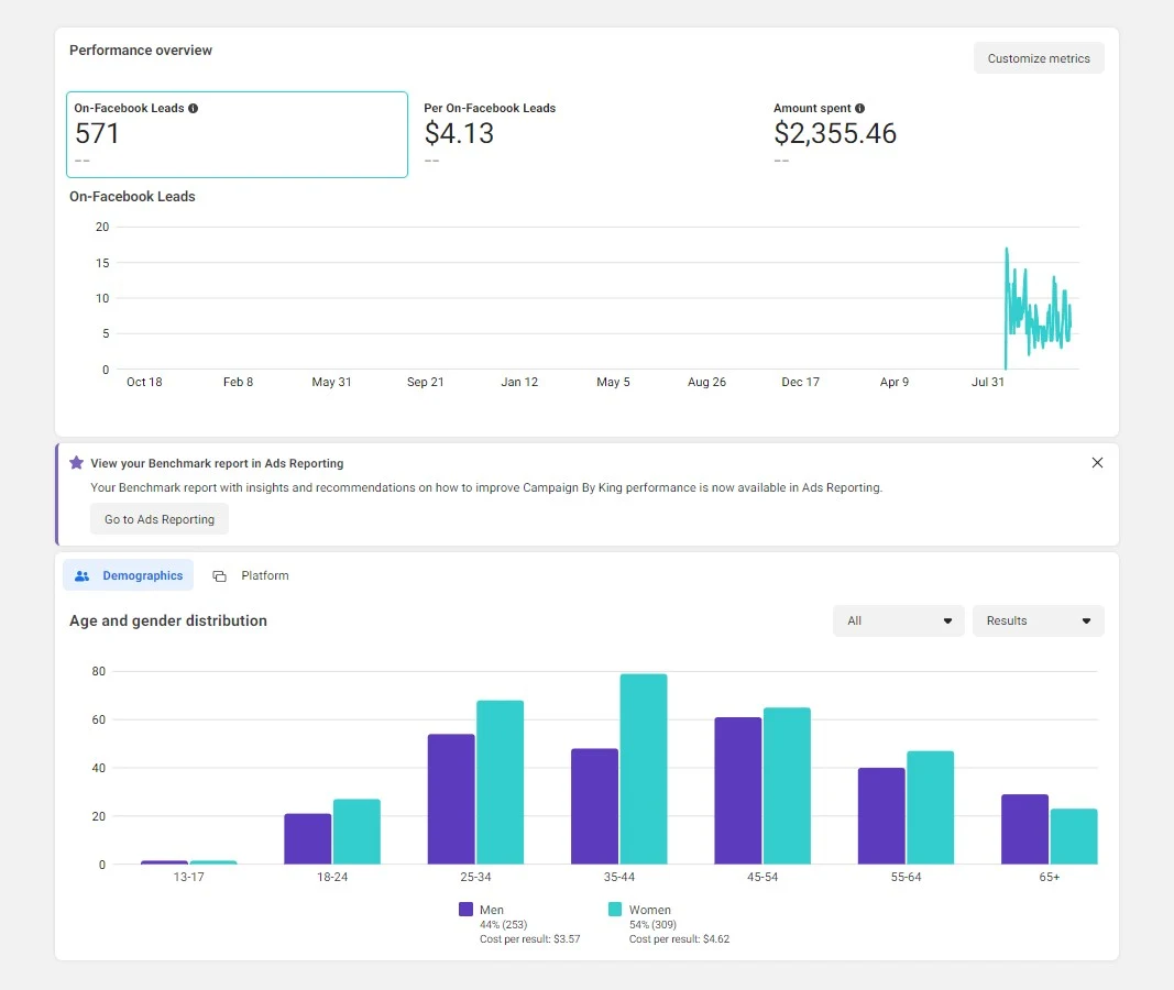 Lead Generation — Niche Audience — Meta Ads · Leads campaign screenshot
