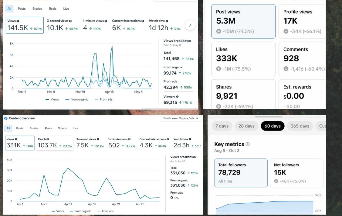 Content Performance Overview — Instagram · Facebook · Organic Reach campaign screenshot